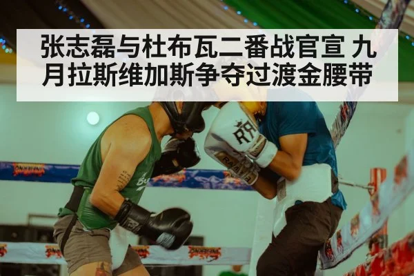 张志磊与杜布瓦二番战官宣 九月拉斯维加斯争夺过渡金腰带
