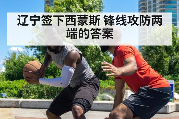辽宁签下西蒙斯 锋线攻防两端的答案