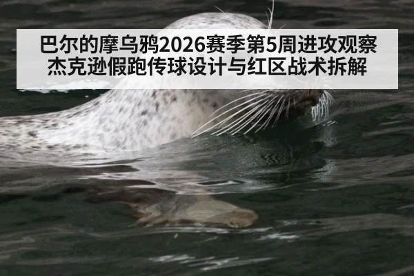 巴尔的摩乌鸦2026赛季第5周进攻观察 杰克逊假跑传球设计与红区战术拆解