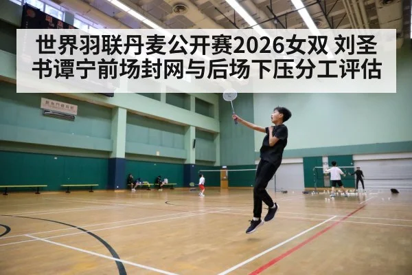 badminton smash net play